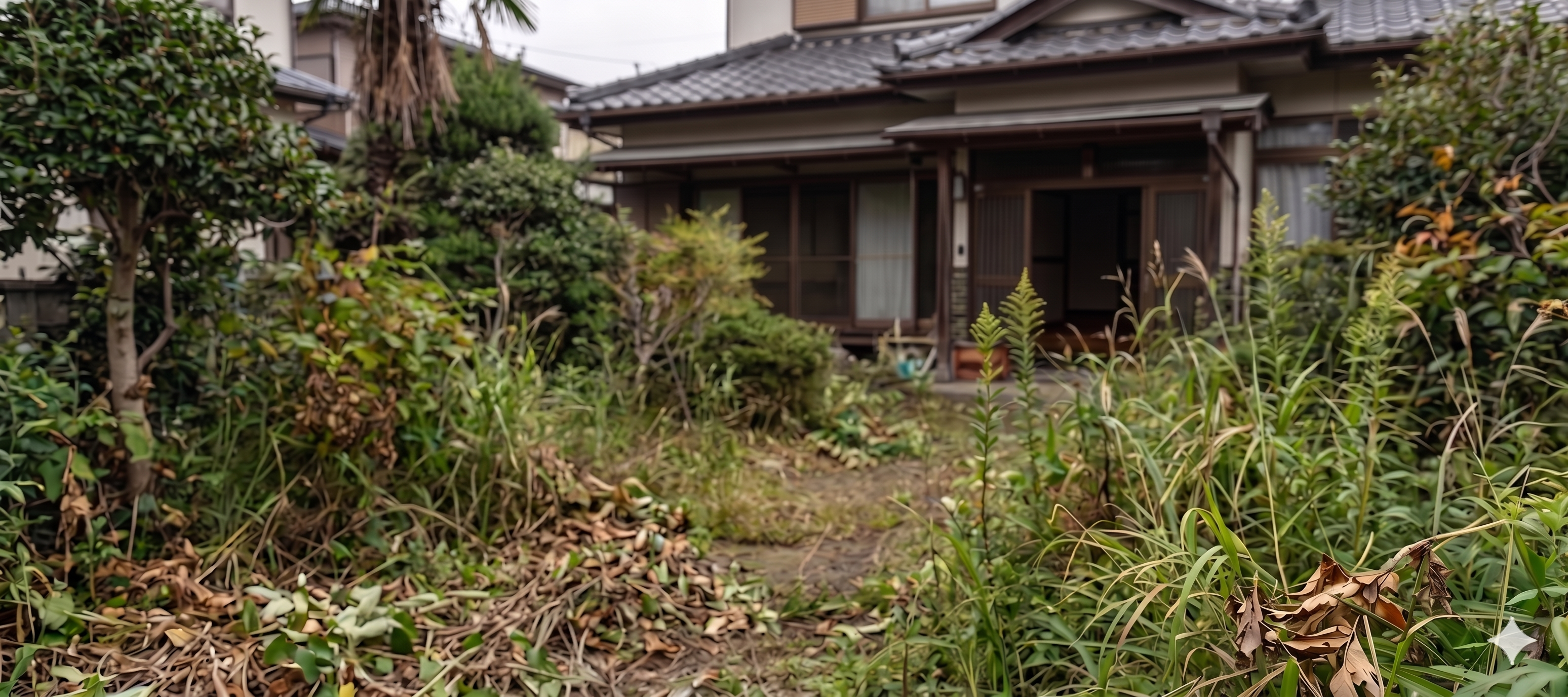 空き家と庭の風景