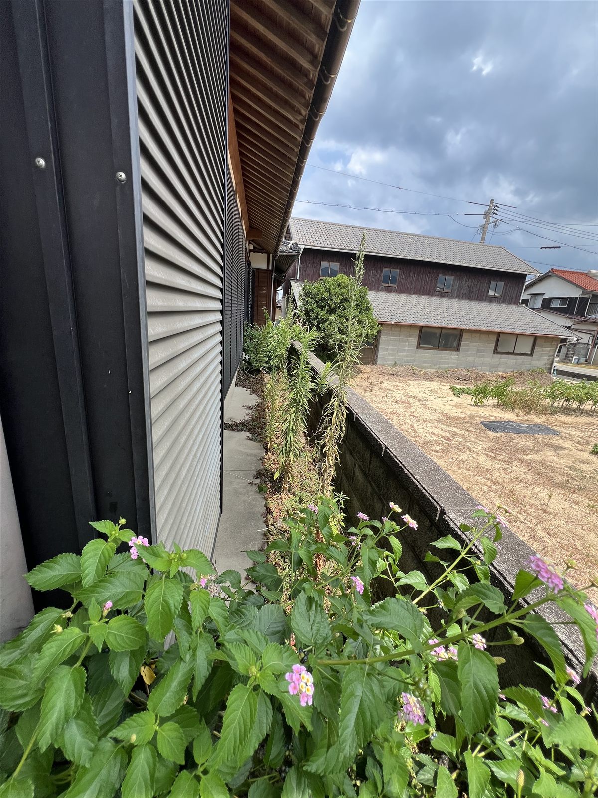 草抜き前：犬走り沿いに草が生い茂った状態